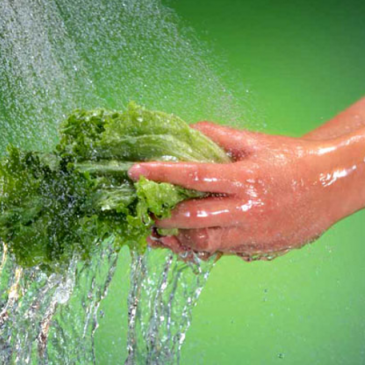 NHỮNG TIỆN ÍCH CỦA  MÁY NƯỚC NÓNG NĂNG LƯỢNG MẶT TRỜI